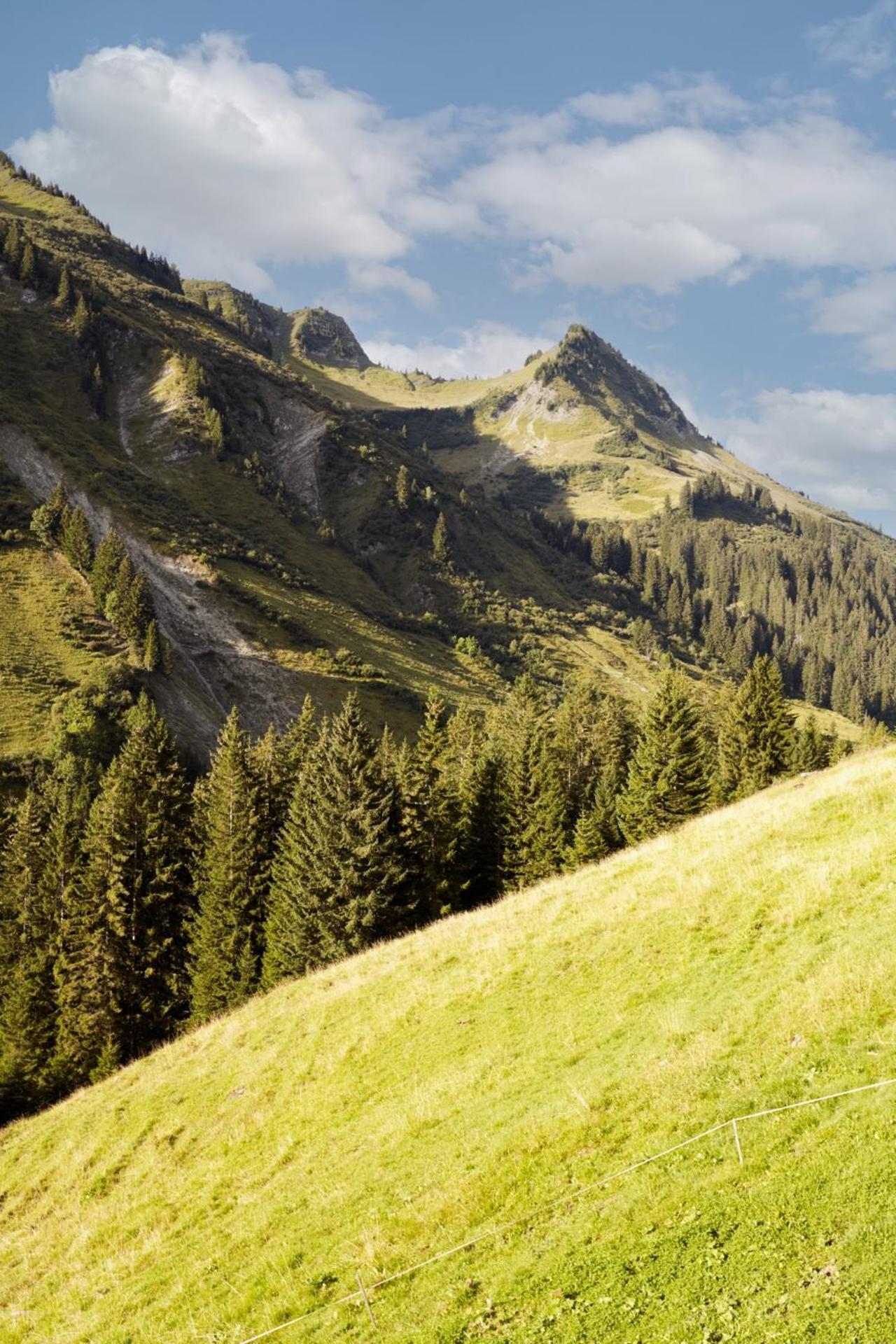 Alpenstolz Haus 4 - Stilvoll Urlauben In Den Bergen * Damüls